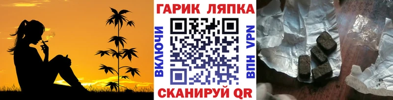 сколько стоит  Лукоянов  Гашиш Изолятор 