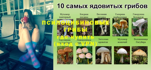 дмт Алексеевка