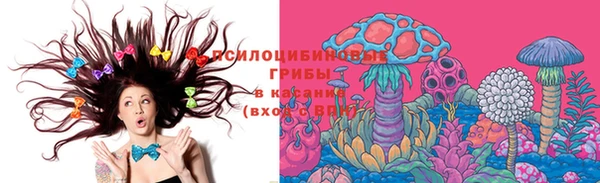 амф Алзамай